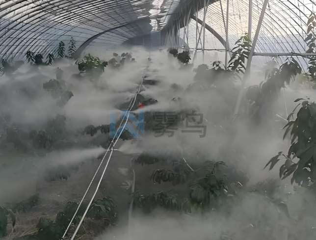 農(nóng)業(yè)溫室 / 畜牧養(yǎng)殖場大棚噴霧系統(tǒng)